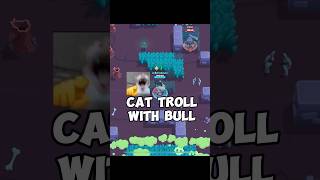 CAT MEME IN BRAWL😂 catmeme laugh brawlstars [upl. by Derwood]