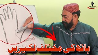 Hath Ki Mukhtalif Lakeeren  Different lines in hand  Hand analysis  Palmistry With Akbar Sarhadi [upl. by Mufi]