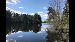 Namekagon river before it enters Lake Hayward [upl. by Henri581]