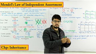 Inheritance of two Traits  Dihybrid cross  Mende Law of independent Assortment  Genetics [upl. by Selin]