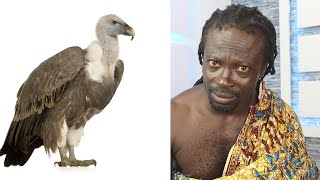 Sh0cking Story behind the Vulture PET3 and the Butcher Tano komfor Reveals [upl. by Menell211]