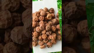 Exploring Superfoods The Incredible Benefits of Tiger Nuts [upl. by Sanders299]