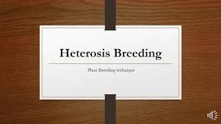 Heterosis introduction [upl. by Pauletta686]