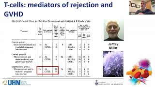 BMT 101 The basics of allogeneic hematopoietic cell transplantation [upl. by Yrkcaz]