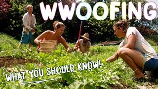 HOW TO WWOOF FOR BEGINNERS  THE BASICS FOR WORK  CHEAP TRAVEL [upl. by Aieka]