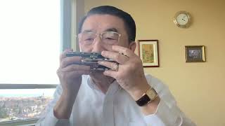 《多瑙河之波》Tremolo Harmonica Solo 口琴独奏 [upl. by Undry]