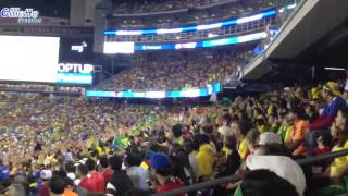 Amazing human wave at Gillette Stadium [upl. by Binetta264]