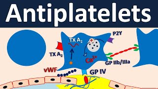 Antiplatelets  Pharmacology in easy way [upl. by Taryn]