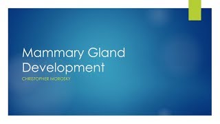 Mammary Gland Development [upl. by Nimajnab]