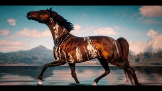 RDR2 BRİNDLE ARABİAN HORSE LOCATİON RARE HORSE [upl. by Arlyne107]