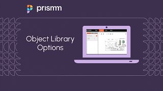 Object Library Options [upl. by Jorin912]