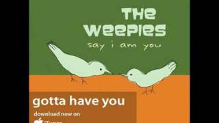 The Weepies  Gotta Have You Audio [upl. by Stormie870]