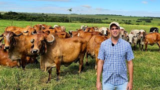 VISITEI O CAIO NA FAZENDA GENIPAPO [upl. by Ogram683]