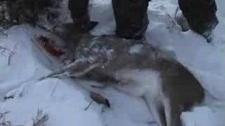 Iowa late muzzleloader deer hunting [upl. by Reuben609]