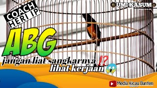 ABG⁉️ COACH HERI IP CUMA 1JURI YANG MENTAL😱🔥 [upl. by Susumu]