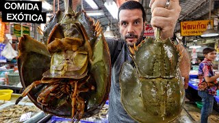 Comendo nos MERCADOS mais EXÓTICOS da Tailândia 🇹🇭 [upl. by Nolyad]