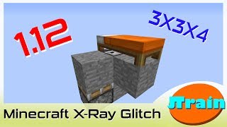 112 MINECRAFT XRAY GLITCH With No Mods [upl. by Llennoj]