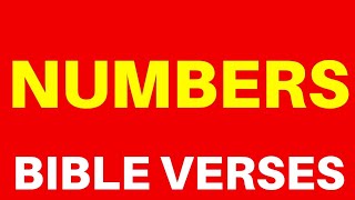 10 Bible Verses On Numbers  Get Encouraged [upl. by Vitalis]