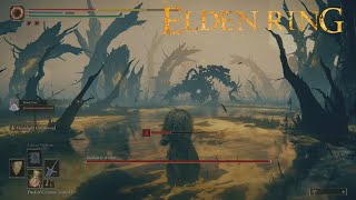 Elden Ring Shadow of the Erdtree  Scadutree Avatar Boss Battle Remembrance Boss with 3 phases [upl. by Minne]