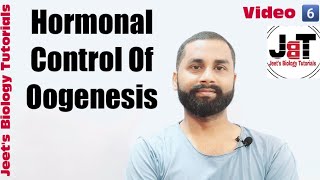 Hormonal control of Oogenesis [upl. by Jaymie]