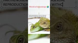 ParthenogenesisWorld of knowledge 🌏com [upl. by Oer]