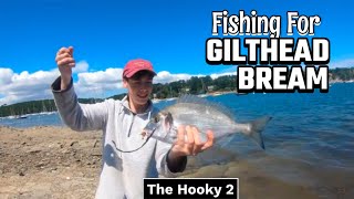 The secret to catching Gilthead Bream [upl. by Huberman485]