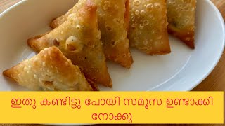 Samosa Recipe Homemade Perfect Samosa Sheet Recipe  Make and Freeze Samosa Sheet [upl. by Kcirdahc18]