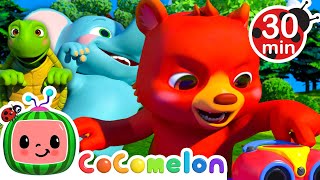 How to Animal Freeze Dance  CoComelon Animal Time  Learning with Animals  Nursery Rhymes for Kids [upl. by Haimirej]