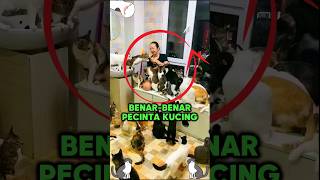 Wanita ini pecinta kucing kucing cat lucukucing catlover kucinglucu [upl. by Ahsirtak790]