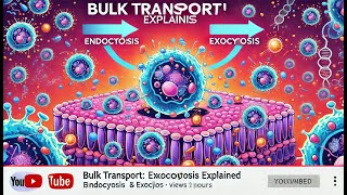 Bulk Transport Endocytosis amp Exocytosis Explained [upl. by Elsa393]