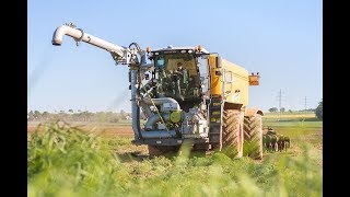 CLAAS XERION Traktoren im Einsatz  Zunhammer Technik  Agrar Service von Meer [upl. by Aniras]