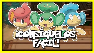 Tutorial  Cómo conseguir a Pansage Pansear y Panpour en Pokémon Negro y Blanco 2024 [upl. by Aeiram]