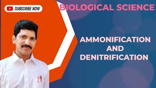 AMMONIFICATION AND DENITRIFICATION  BIOLOGICAL SCIENCE  CLASS 8 [upl. by Odille767]