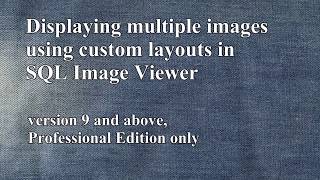 Displaying multiple images and overlaying text fields in SQL Image Viewer [upl. by Thay]