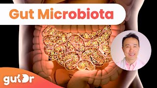 What is Gut Microbiota  GutDr MiniExplainer [upl. by Goulden471]