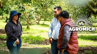 Conoce cómo AGROMICH brinda una asesoría integral con agricultura de precisión [upl. by Aniraz]