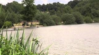 WHITEVANE CARP FISHERY HORSHAM WEST SUSSEX [upl. by Fredericka390]