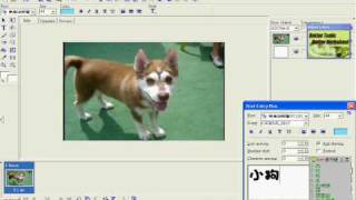 製作底圖閃字教學Ulead GIF Animator 5 [upl. by Rome]