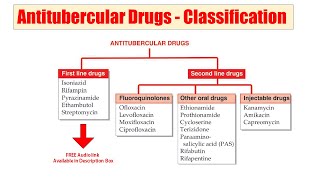 54 Antitubercular Drugs  Classification of Antitubercular Drugs According to First amp 2nd Lines [upl. by Rigdon]