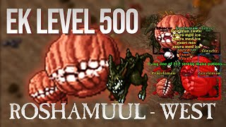 EK SOLO LVL 500 ROSHAMUUL WEST 7KKXPHR 670K PROFIT [upl. by Yromas]