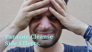 Parasite Cleanse Side Effects [upl. by Eirased]