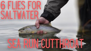 6 Must Have Flies for Sea Run Cutthroat Trout and Puget Sound Beach Fishing [upl. by Eessej]