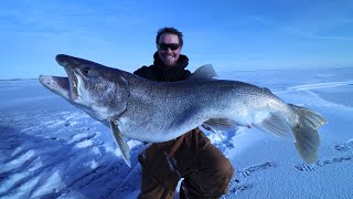 The Ultimate Winter Camping Adventure Trophy Lake Trout Part 1 [upl. by Lorenza]