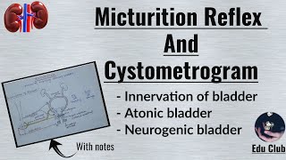 Micturition reflex  Cystometrogram  Renal physiology [upl. by Blinnie]