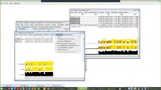 Bioinformatic بالعربي  Jalview software 3 [upl. by Tteltrab]