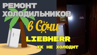 Холодильник Liebherr не работает холодильная камера [upl. by Balthazar407]