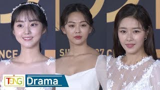 박세완Park Se Wanㆍ금새록Keum Sae Rokㆍ박하나Park Ha Na 2018 KBS 연기대상 통통TV [upl. by Hillier927]