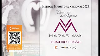 Primeiro Pregão  V Semana de Negócios Haras Ava [upl. by Stirling]