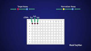 AdvantagesDisadvantages of Singleplex and Duplex qPCR  Ask TaqMan® Ep 14 by Life Technologies [upl. by Githens323]