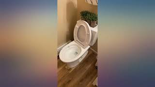 TOTO Drake TwoPiece Elongated 16 GPF Universal Height TORNADO FLUSH Toilet with review [upl. by Eiznikam]